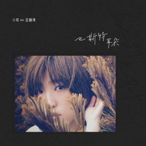 收聽莊鵑瑛的巴斯特耳朵歌詞歌曲