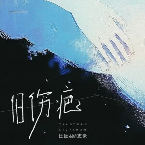 Album 旧伤疤(国粤对唱版) from 田园