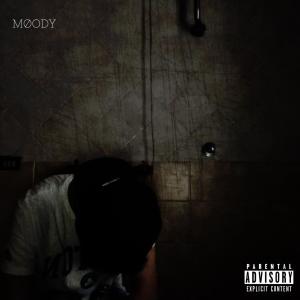 Dengarkan Stronza (Explicit) lagu dari BNR dengan lirik