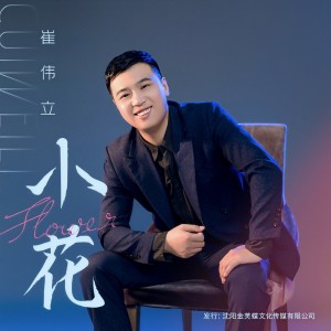 收聽崔偉立的小花(DJ何鵬版) (完整版)歌詞歌曲