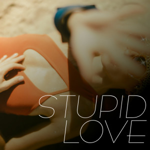 Starlite Karaoke的专辑Stupid Love