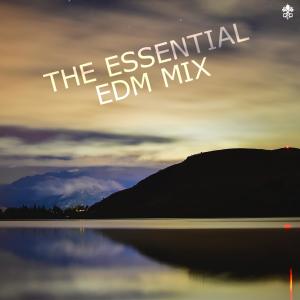 Various Artists的專輯The Essential EDM Mix