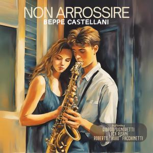 Bobo Facchinetti的專輯Non arrossire (feat. Giorgio Signoretti, Luca Pisani & Roberto Bobo Facchinetti)