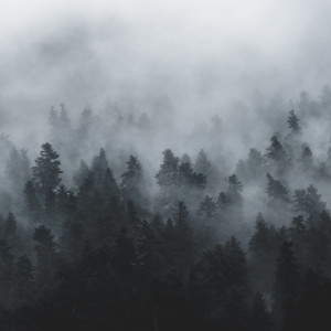 Listen to A Touch song with lyrics from Deep Sleep