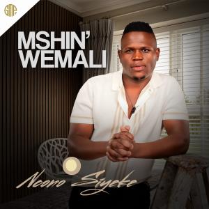 收聽MSHINWEMALI的Into Yami (feat. Londeka Shangase)歌詞歌曲