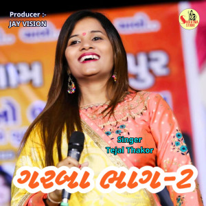 Album Garba, Pt. 2 from Tejal Thakor