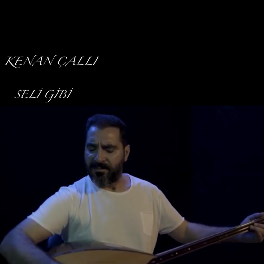 Seli Gibi