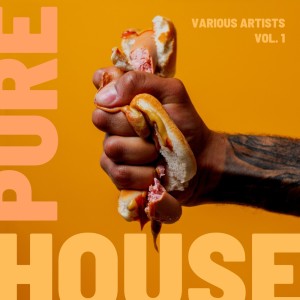 Pure House, Vol. 1 dari Various