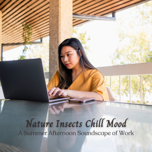 Nature Insects Chill Mood: A Summer Afternoon Soundscape of Work