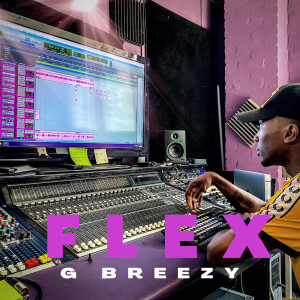 Listen to Flex (Explicit) song with lyrics from G Breezy