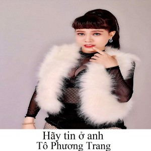 อัลบัม Hãy tin ở anh ศิลปิน 
