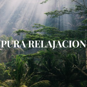 Album PURA RELAJACION from Para Relajarse