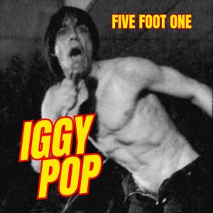 Sex Pistols的专辑Five Foot One