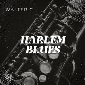 Listen to Harlem Blues (Original Mix) song with lyrics from Walter G
