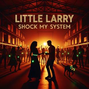 ดาวน์โหลดและฟังเพลง SHOCK MY SYSTEM พร้อมเนื้อเพลงจาก Little Larry