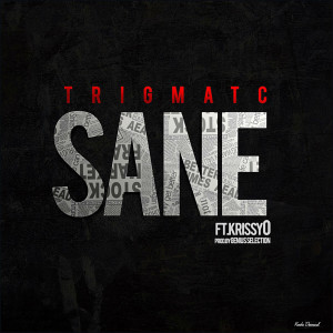 收聽Trigmatic的Sane歌詞歌曲