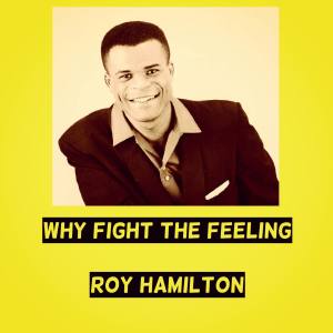 Album Why Fight the Feeling from Roy Hamilton