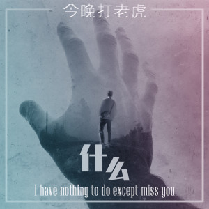 Listen to 什么 (伴奏) song with lyrics from 今晚打老虎