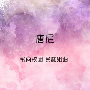 Listen to 外婆的澎湖灣/ 甜甜的姑娘 song with lyrics from 唐尼