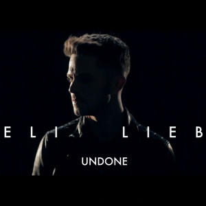 Eli Lieb的專輯Undone