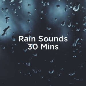 Dengarkan Concentration Background Ambience lagu dari Rain Sounds dengan lirik