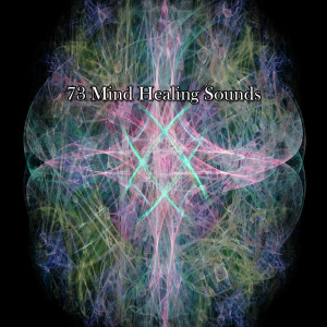 Album 73 Mind Healing Sounds from Zen Meditate