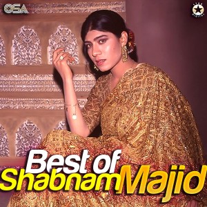 Album Best of Shabnam Majid from Shabnam Majid