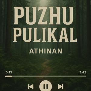 Listen to PAKKI PARUNTH (feat. Logeshwara chandrasekhar) song with lyrics from Athinan