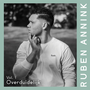 收聽Ruben Annink的Zonnesteek歌詞歌曲