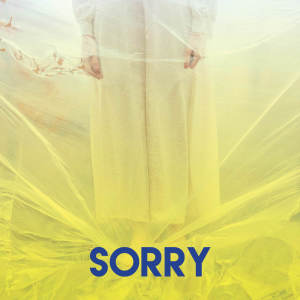 收聽Countdown Singers的Sorry歌詞歌曲