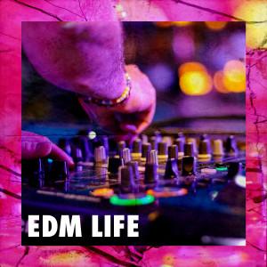 DJ Electronica Trance的专辑EDM Life