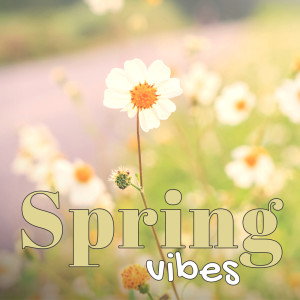Listen to Spotlight Time song with lyrics from Michael Larcange
