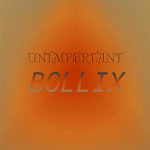 Album Unimportant Bollix from Various