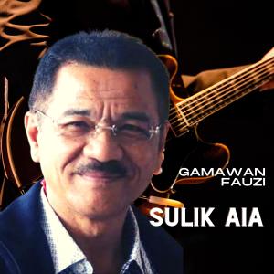 Gamawan Fauzi的專輯Sulik aia