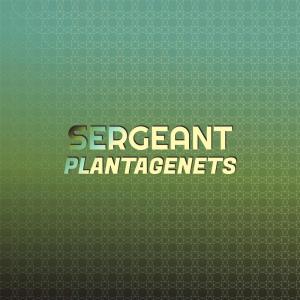 Listen to Clandestine Seat song with lyrics from Perk
