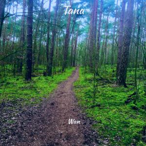 Listen to Tana song with lyrics from WaN