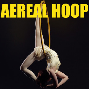 Various Artists的專輯Aerial Hoop