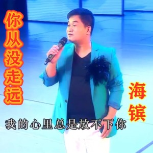 Listen to 你从没走远 song with lyrics from 海镔