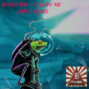 Album Spacefrog - Follow Me (Remix Edit) from 