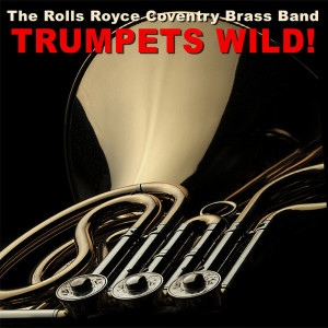 ดาวน์โหลดและฟังเพลง With One Look พร้อมเนื้อเพลงจาก Rolls Royce Coventry Brass Band