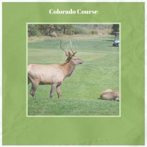 Album Colorado Course from Various