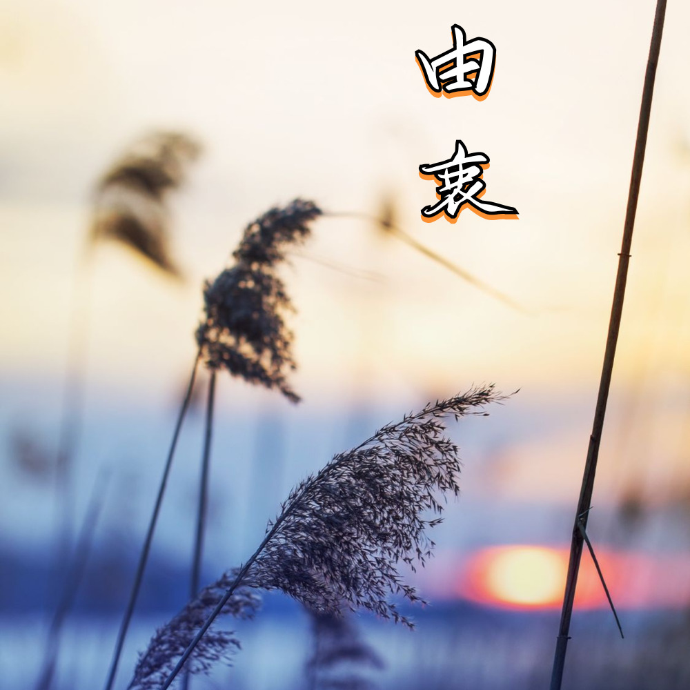 由衷 (其他)
