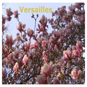 Versailles的专辑Versailles
