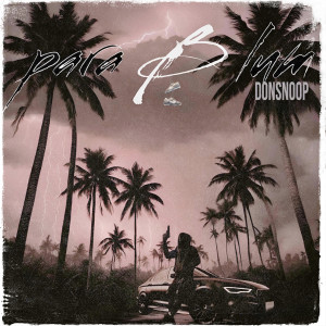 Album paraBlum (Explicit) from Don Snoop