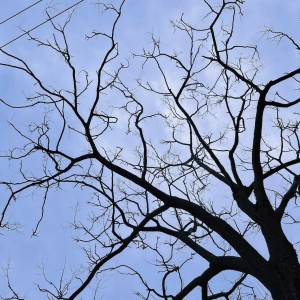 Listen to 爱的天国 (cover: 王心凌) (完整版) song with lyrics from 李佳龙Jog