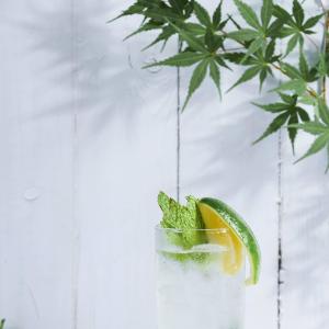 Album 稻香mojito反方向的钟 from GYBeat