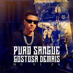 收聽Mc Vi zs的Puro Sangue/Gostosa Demais (Explicit)歌詞歌曲