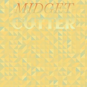 Listen to Senator Ring song with lyrics from Beidi Pasi