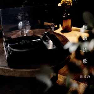 Album Secret Love Song from Hubert Wu (胡鸿钧)