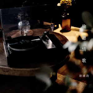 Listen to Secret Love Song song with lyrics from Hubert Wu (胡鸿钧)